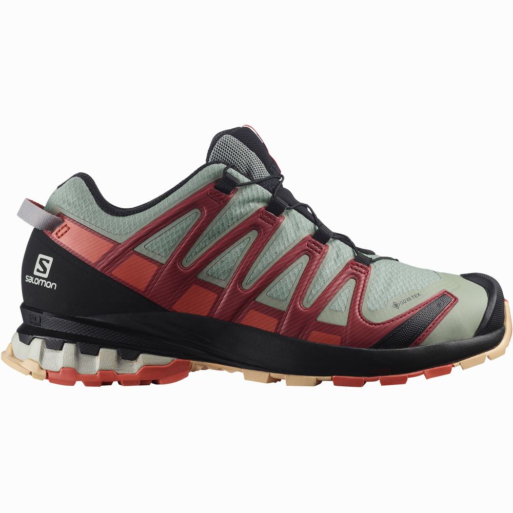 Women's Salomon Xa Pro 3d V8 Gore-tex Hiking Shoes Green/deep Red | NZ-4328671